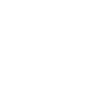 Acuity PPM logo