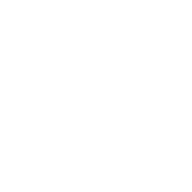 Aimfox logo