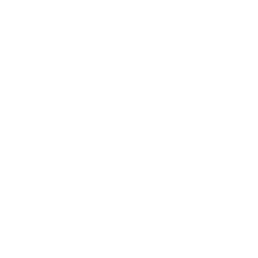 Anymail finder logo