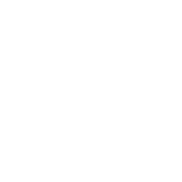 Anymail Finder logo
