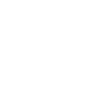 APIWHA logo