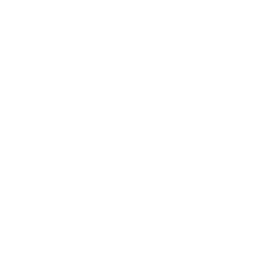 Digital Influencers logo