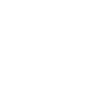 B33 logo