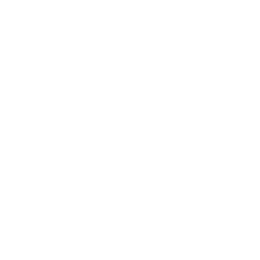 BirdEye logo