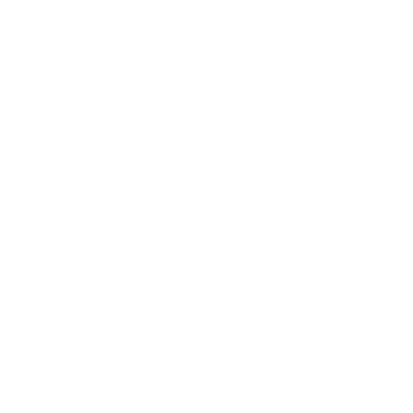Bleez logo