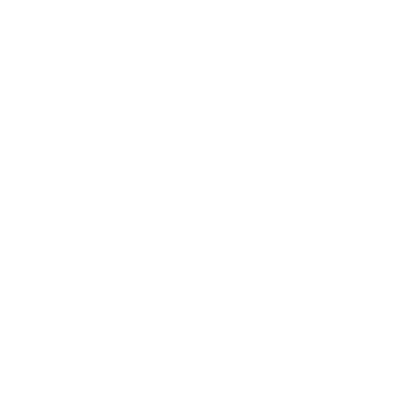 BlueStone API – Public logo