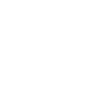 BotPenguin logo