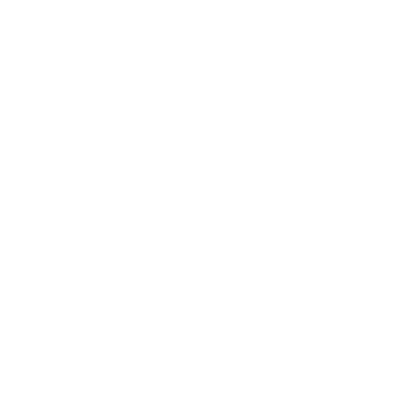 Brave logo