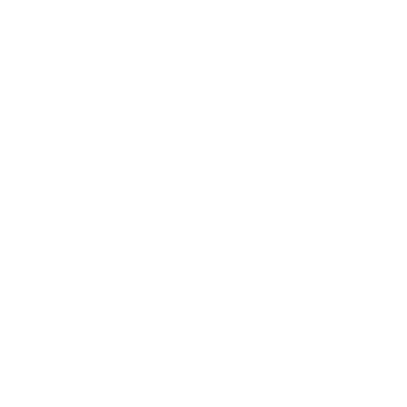 Brightflag logo