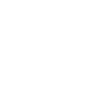 BringData.co logo