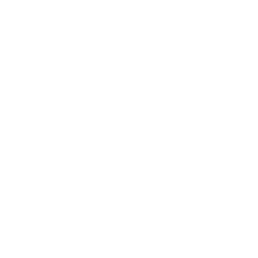 Byteplant Phone Validator logo