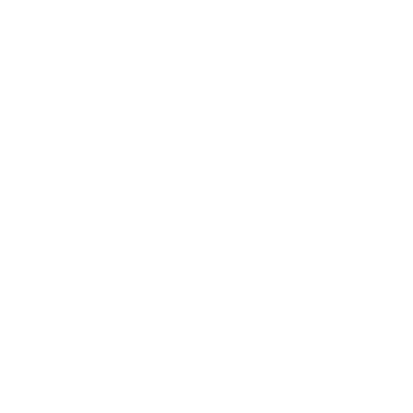 CallX.io logo