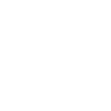 Canvas LMS logo