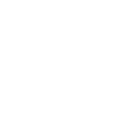 Česká spořitelna veřejná data logo