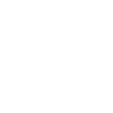 Chatwize Connection logo