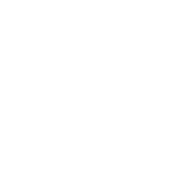 CherryIN logo