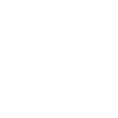 Connery logo