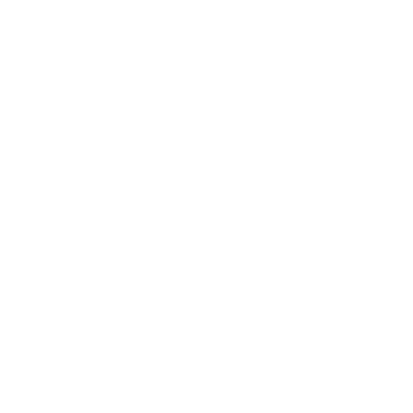 CSV logo