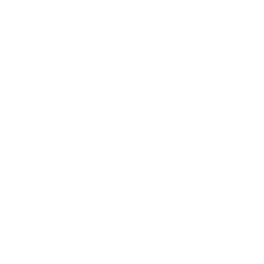 eSIM NEXT logo