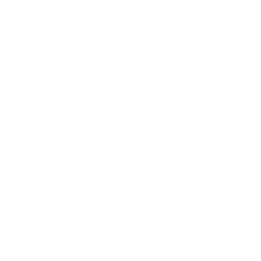 FetchFox logo