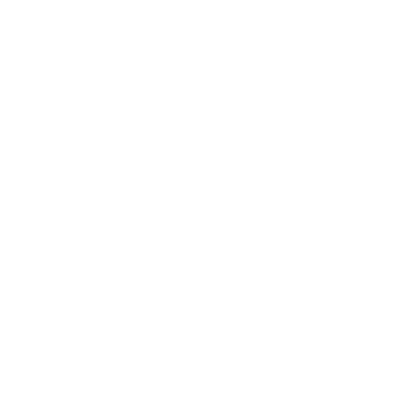 finaX logo