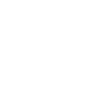 Fliz Video Generator logo