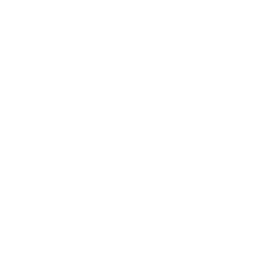 Form.taxi logo