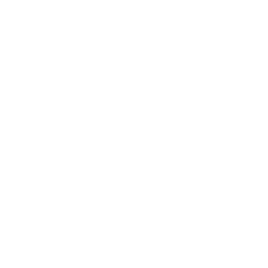 Google Translate logo