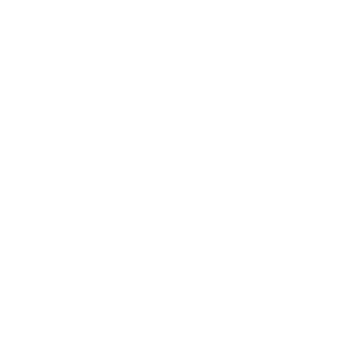 Google+ logo