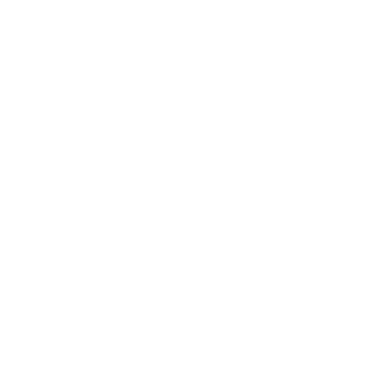 Helpwise logo