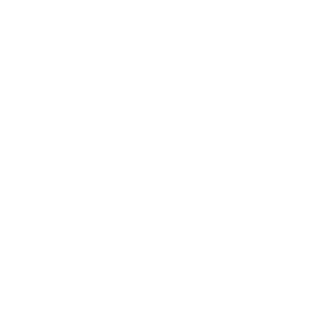 IC Project logo