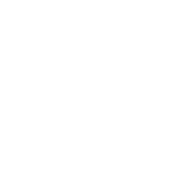 InfraNodus AI Knowledge Graph logo