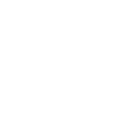 Iteration X logo