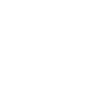 Language Weaver logo