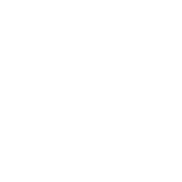 Lightspeed eCom logo