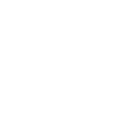 Loopify logo