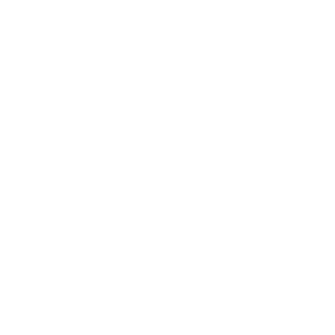 Neaktor logo