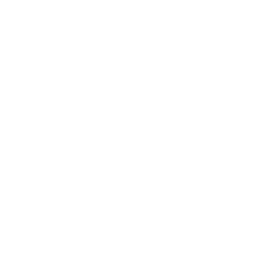nele.ai logo