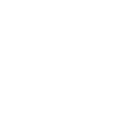 Nero AI logo