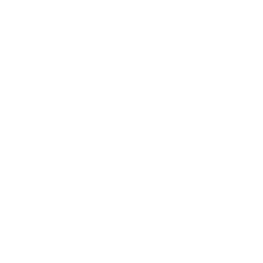 Netwo logo