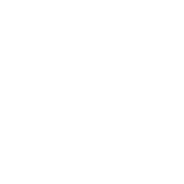 NeuronWriter logo