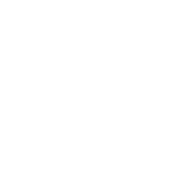 NocoDB logo