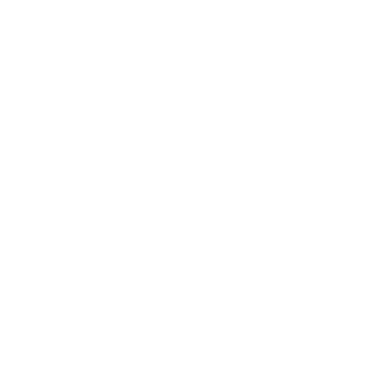 PayPal Payflow Pro logo