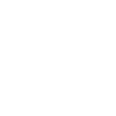 PeppoBox PEPPOL connector logo