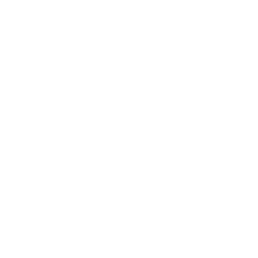 Pinecone logo