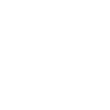PlentyMarkets logo