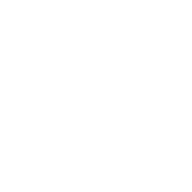 Pointerpro (AU) logo