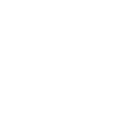 PracticePanther logo