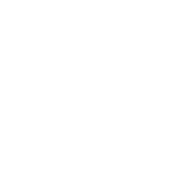 ProcessPlan logo