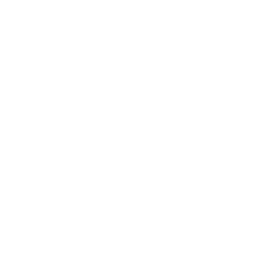 Pushwoosh logo